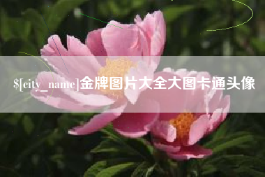 河源金牌图片大全大图卡通头像