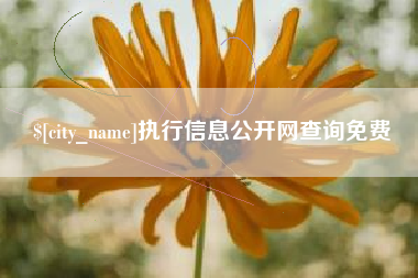 河源执行信息公开网查询免费