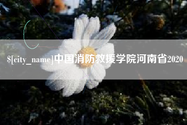 河源中国消防救援学院河南省2020