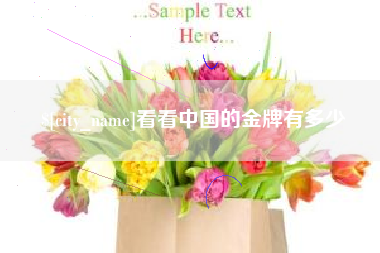 河源看看中国的金牌有多少